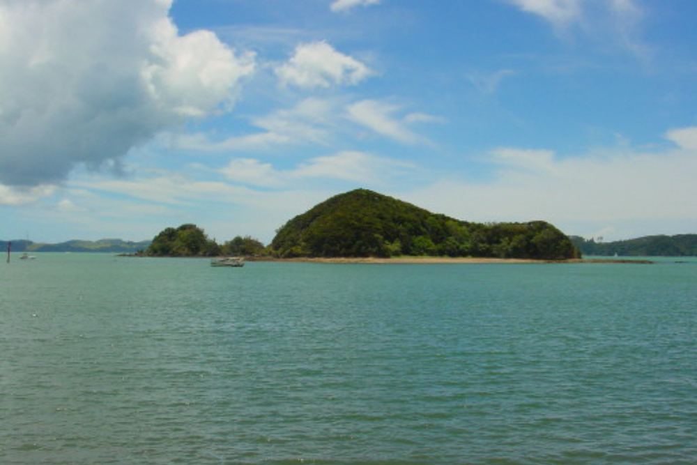 Bay of Islands Island in the Bay of Islands New Zealand