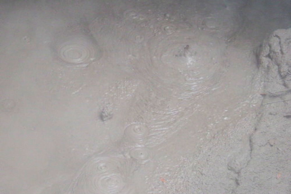 Boiling Mud Geothermal boiling mud in New Zealand