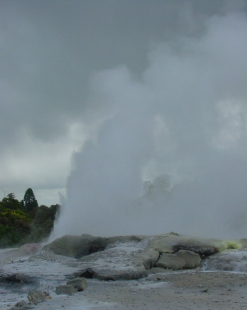 Geyser Erupting geyser in New Zealand