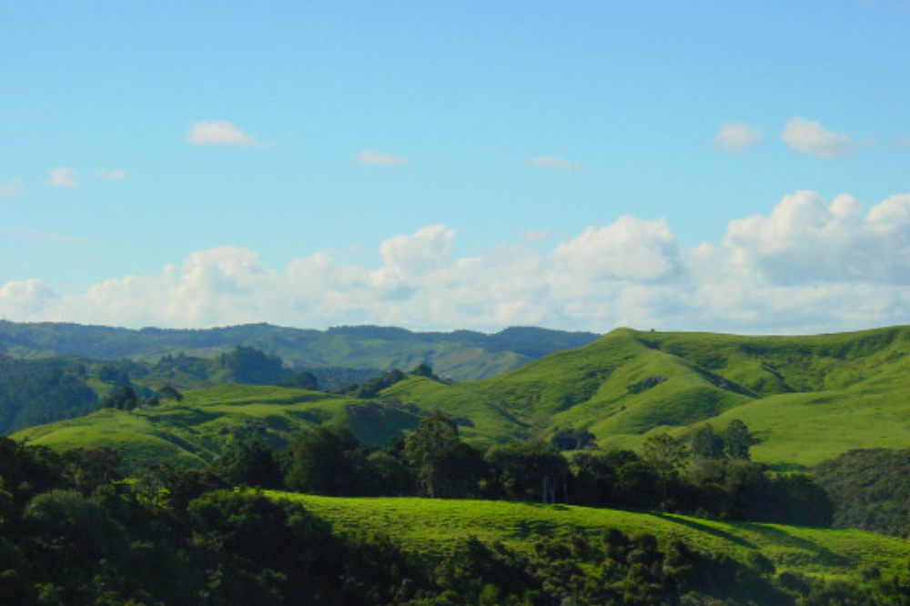 New Zealand Landscape Rolling green hills in New Zealand