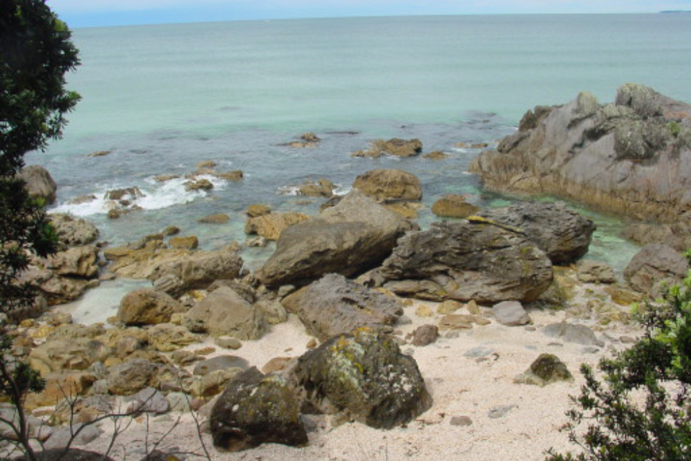 Tauranga Shore Rocky coastline at Tauranga New Zealand