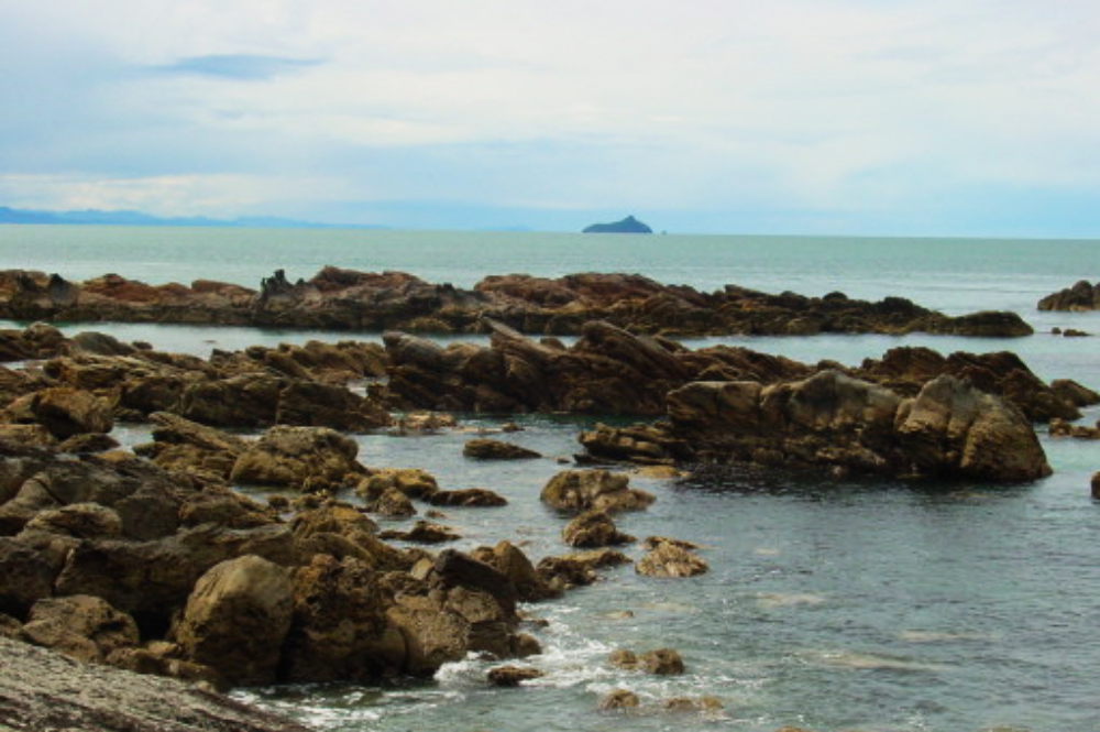 Tauranga Shore Rocky shore at Tauranga New Zealand