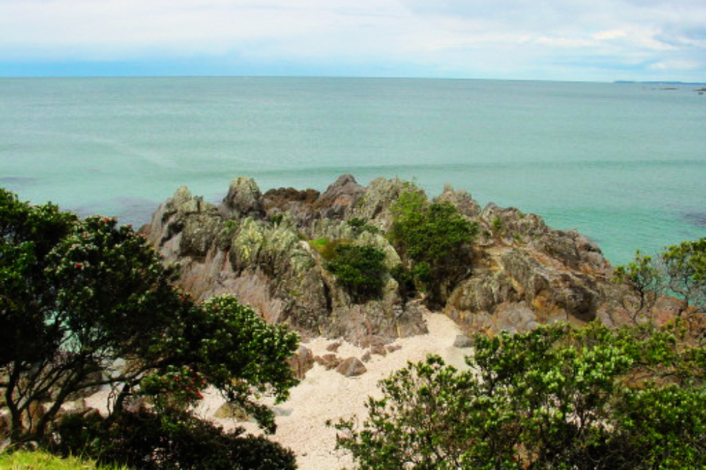 Tauranga Shore Coastline at Tauranga New Zealand