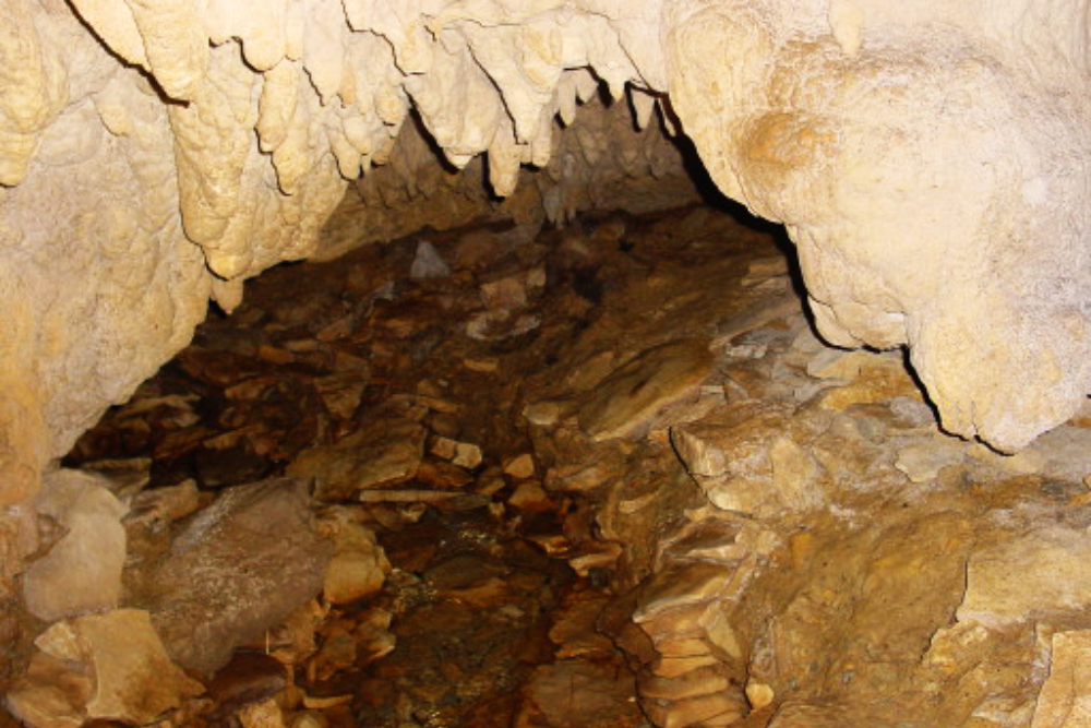 Waitomo Cave Entrance Waitomo cave entrance in New Zealand