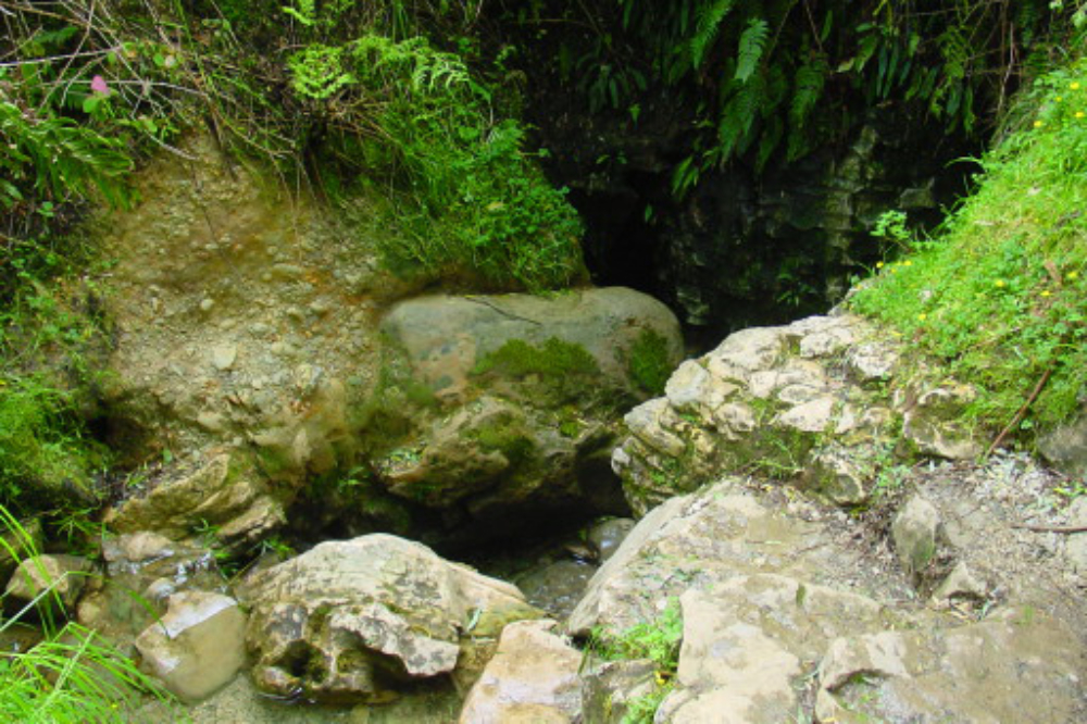 Waitomo Caves Entrance to Waitomo Caves New Zealand