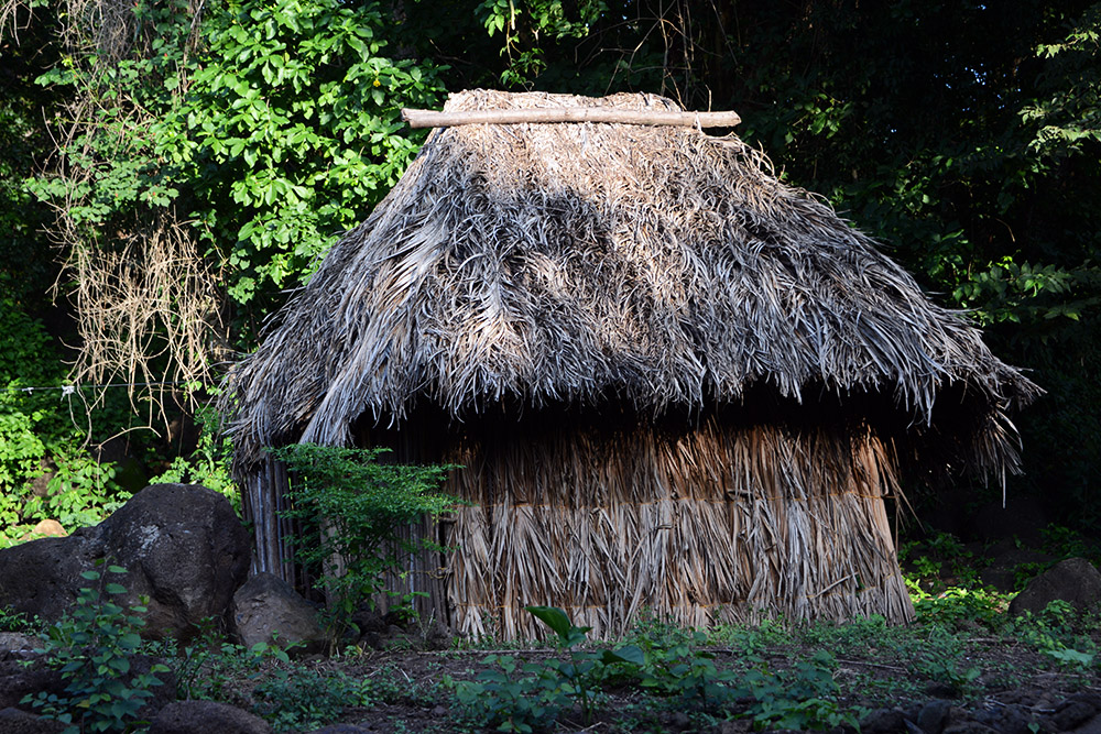Hut Nicaragua Ometepe Hut
