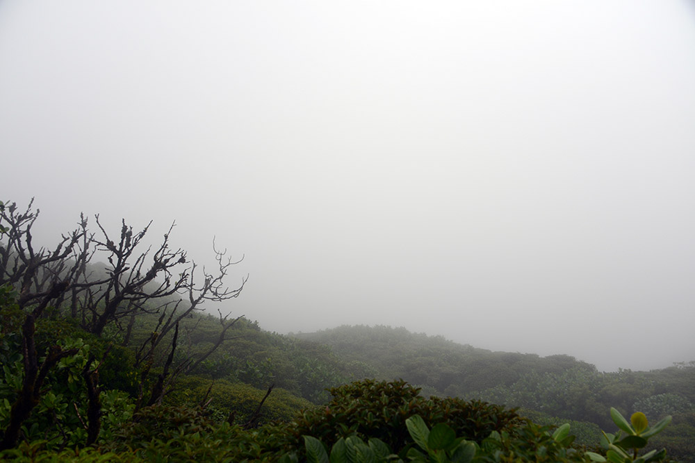 Nicaragua Ometepe Maderas Cloud Forest Lagoon