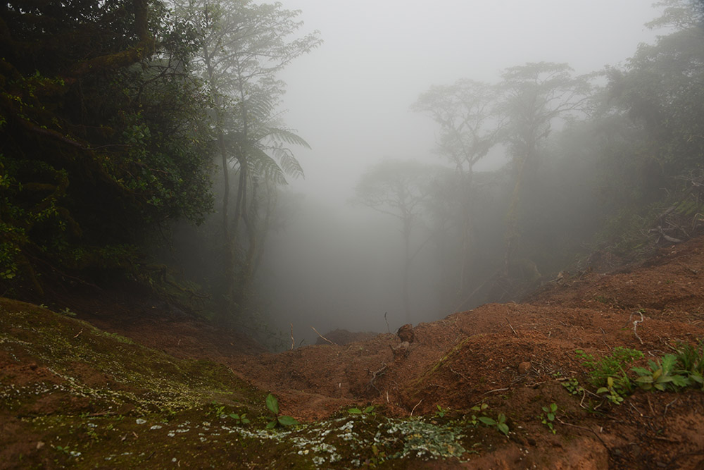 Mudslide Nicaragua Ometepe Maderas Mud Slide