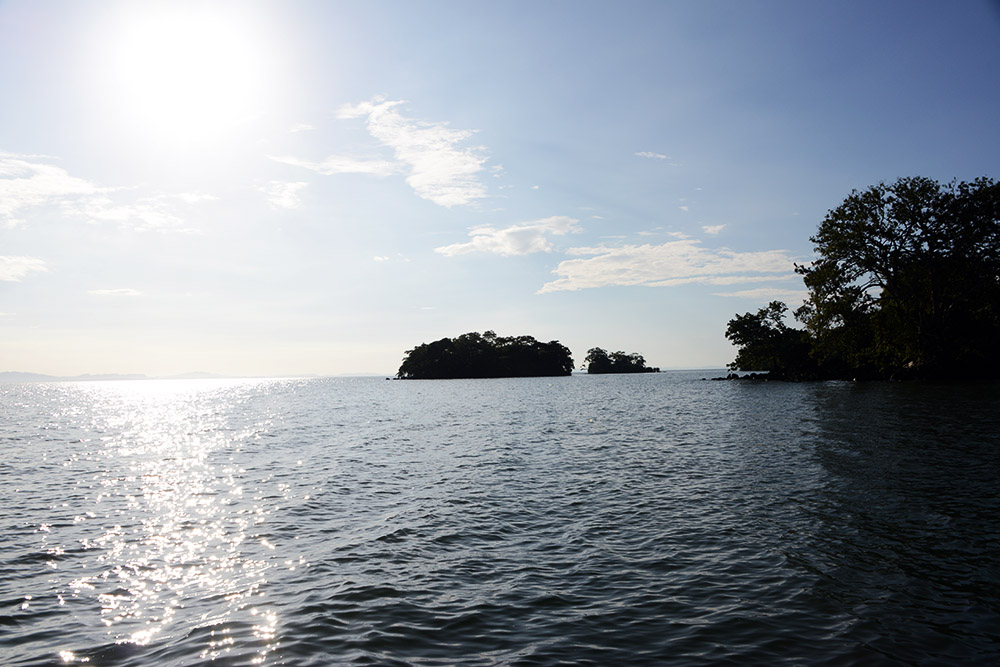 Monkey Islands Nicaragua Ometepe Monkey Islands