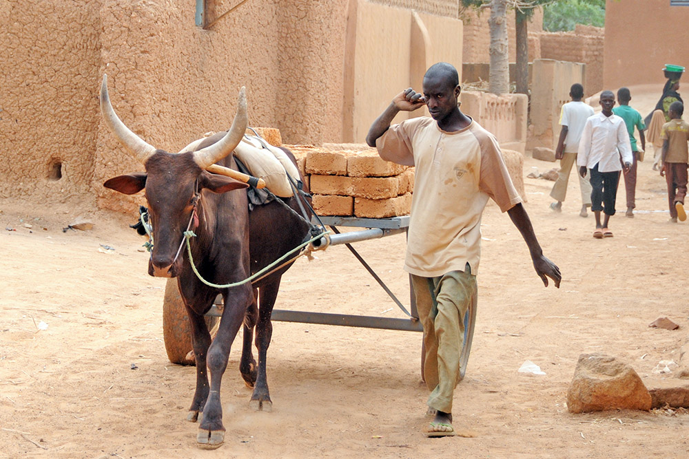 Bull Bull pulling a cart of bricks in Zinder Niger