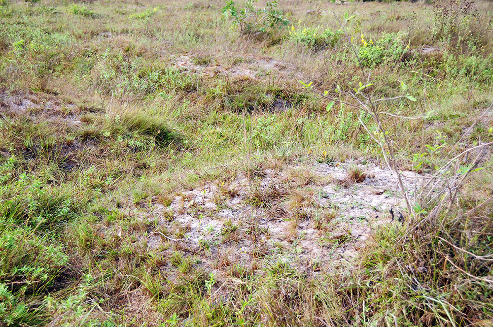 Grave mounds along the historic slave route in Badagry, Nigeria