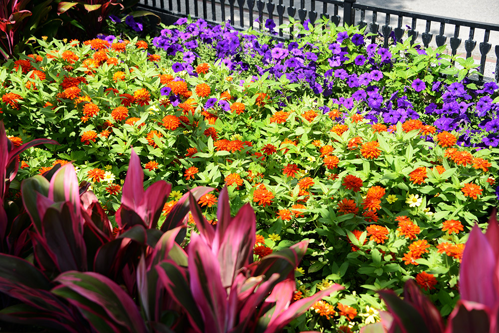 Gardens at Franklin Park Conservatory