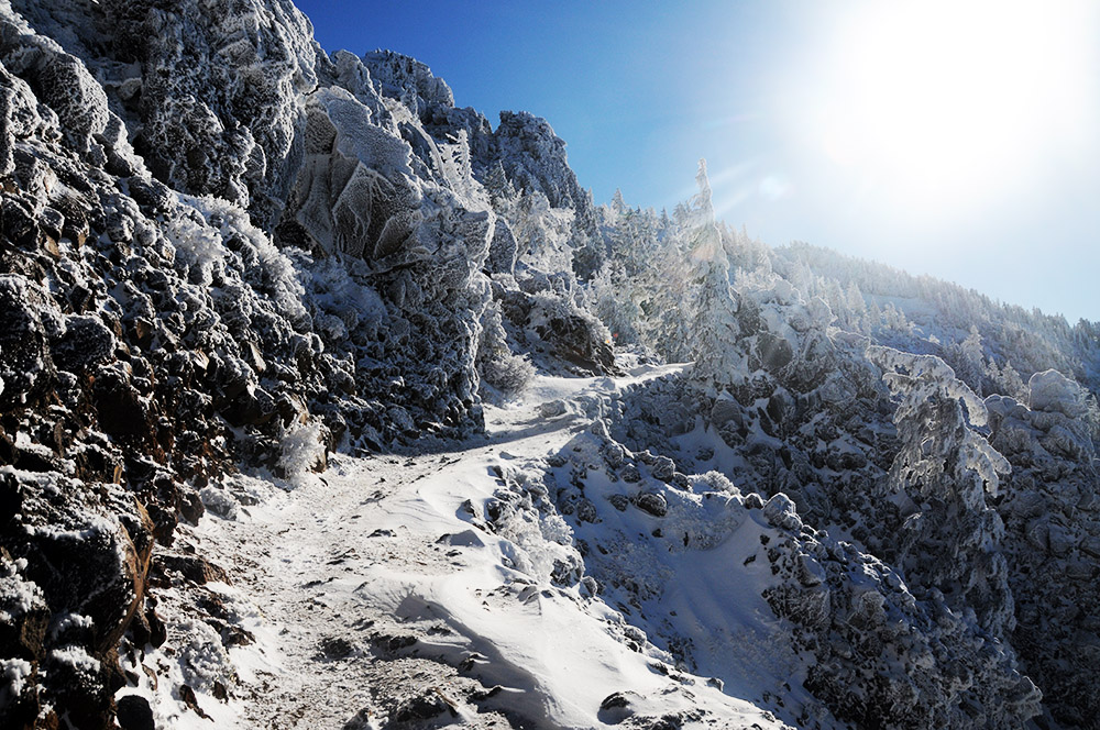Sun over the Crater Lake Rim Trail