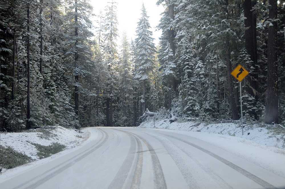 Road to Crater Lake