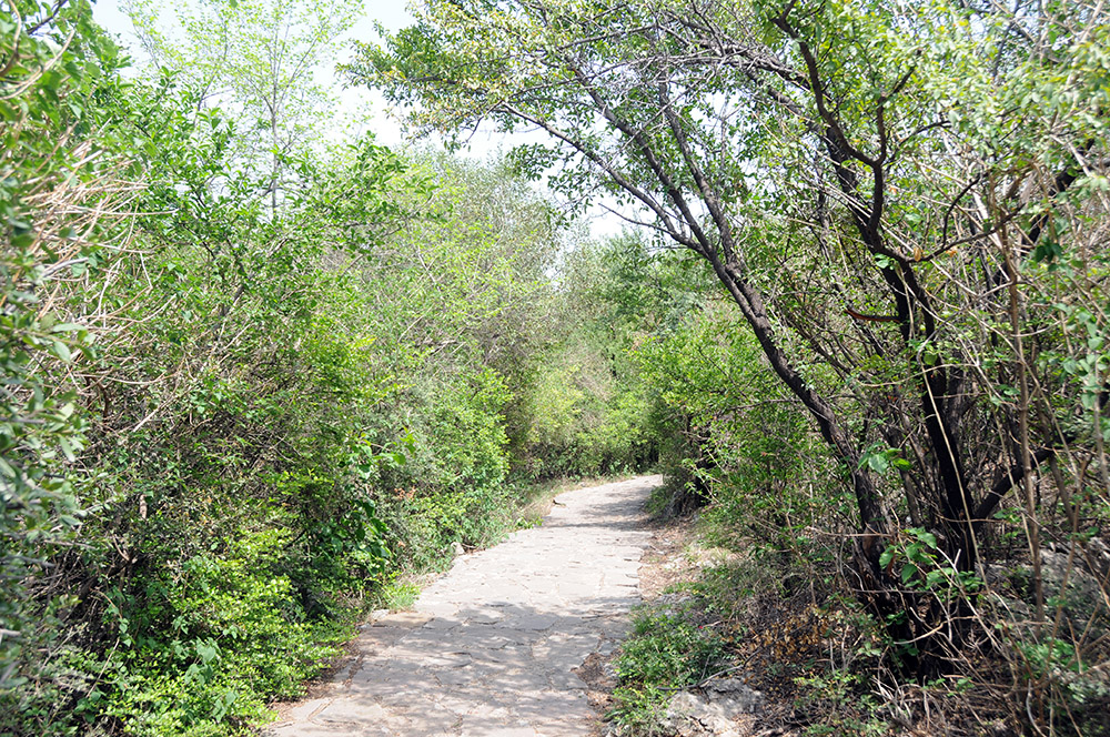 Walking trail through Daman-e-Koh in the Margalla Hills of Islamabad