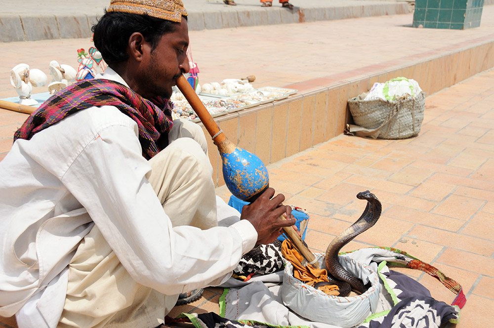 Snake charmer with a cobra at Clifton Beach in Karachi, Pakistan