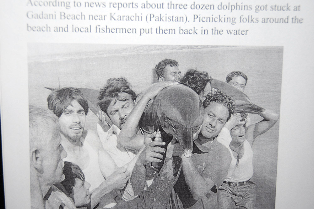Dolphin rescue conservation display in Karachi, Pakistan
