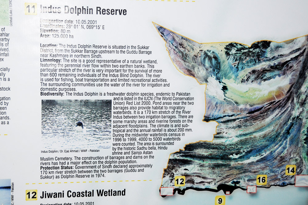 Indus River dolphin conservation display in Pakistan