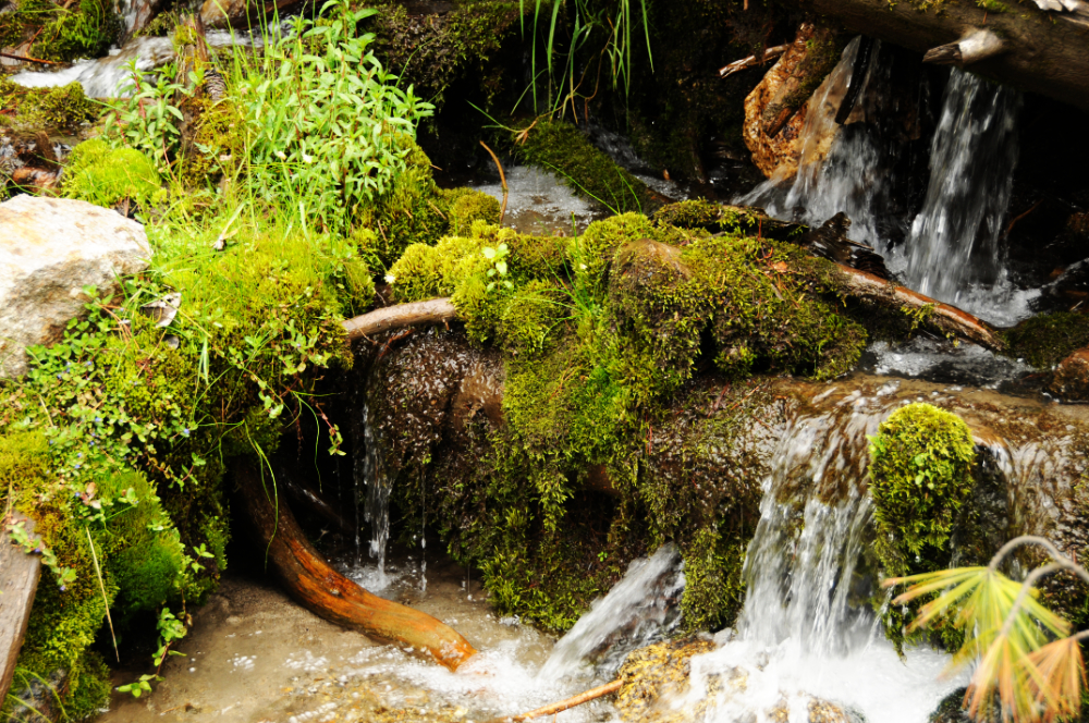 Mountain Creek Mountain creek in northern Pakistan