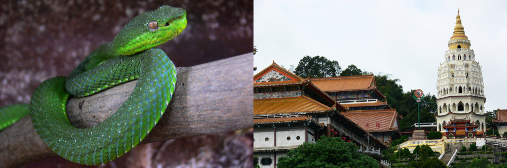 Penang Malaysia