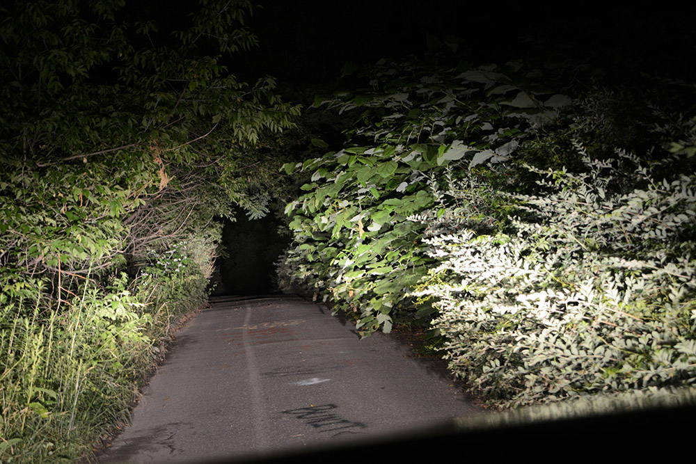 Abandoned overgrown road in Centralia Pennsylvania
