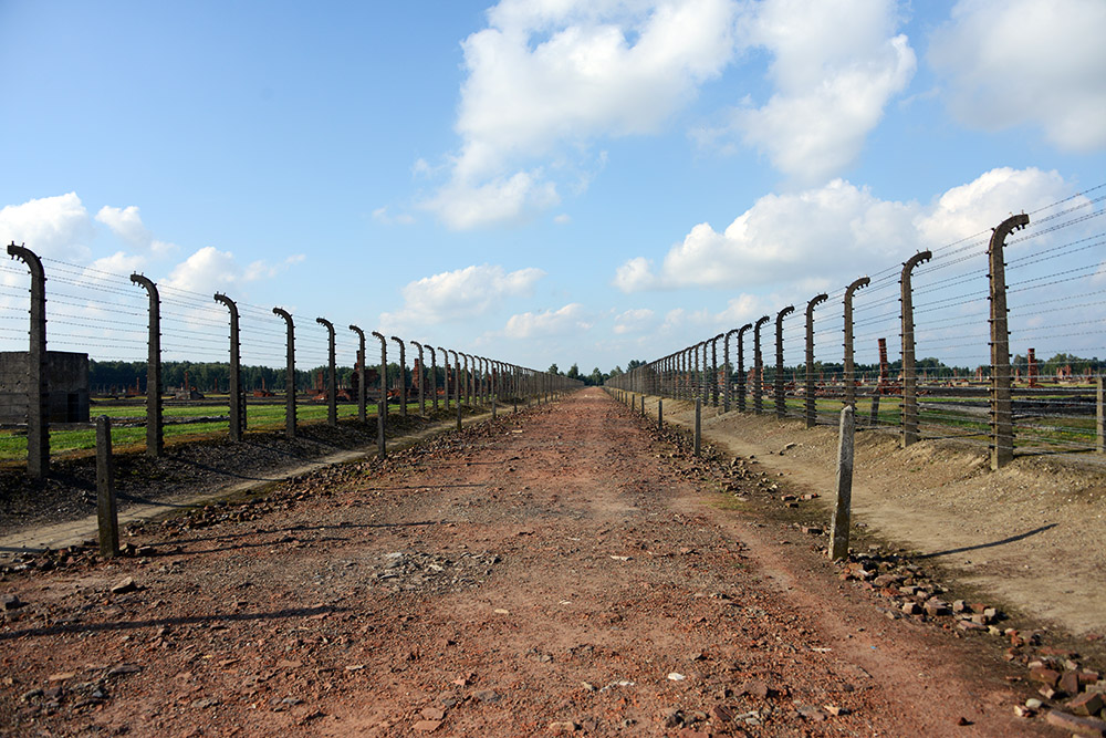 Road through Auschwitz II-Birkenau