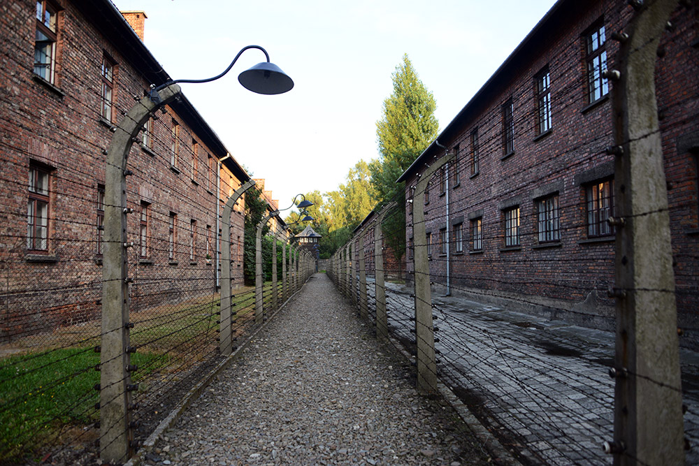 Fence and grounds at Auschwitz I