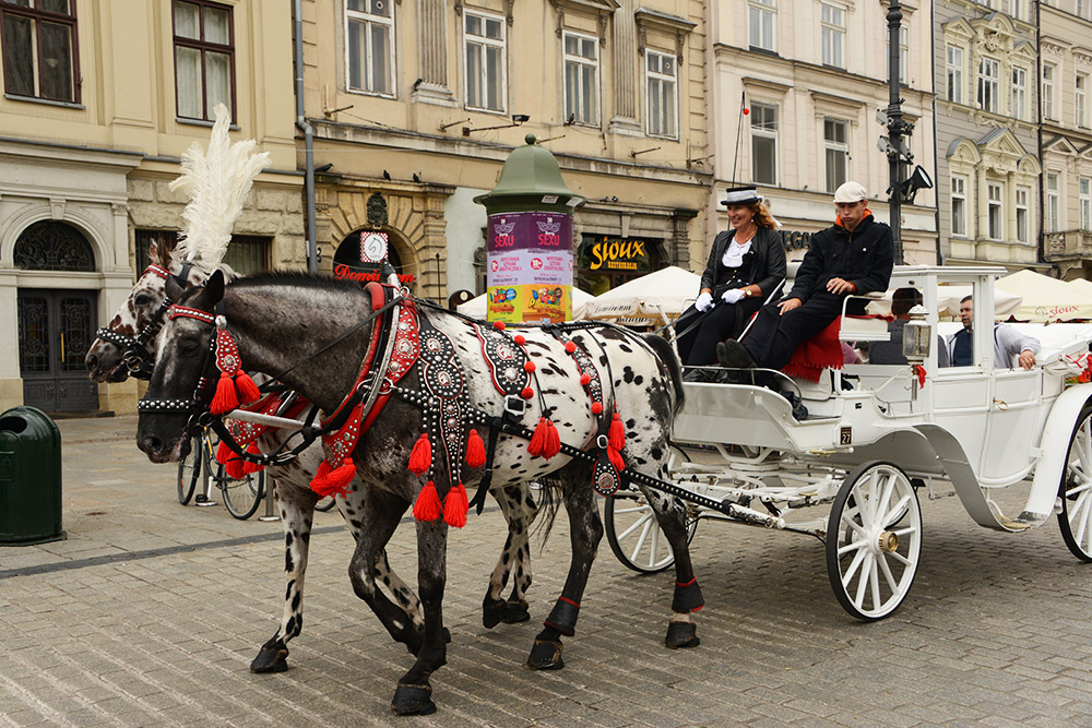 Poland Krakow Horse and Carriage