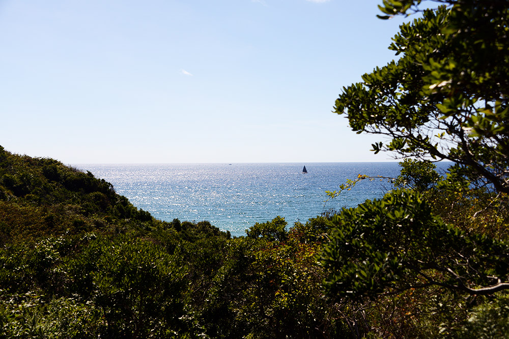 Hiking to the Coast Rhode Island Block Island Coast
