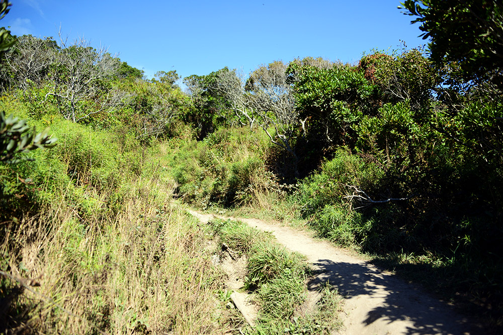 Hiking Trail Rhode Island Block Island Hiking Trail