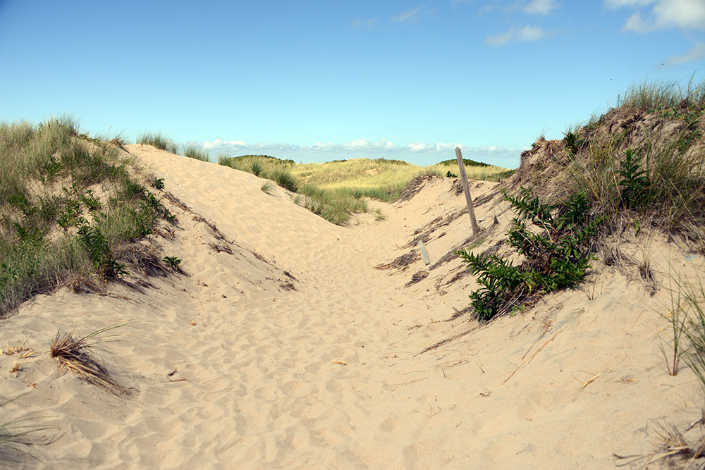 Dunes Rhode Island Block Island North Dunes