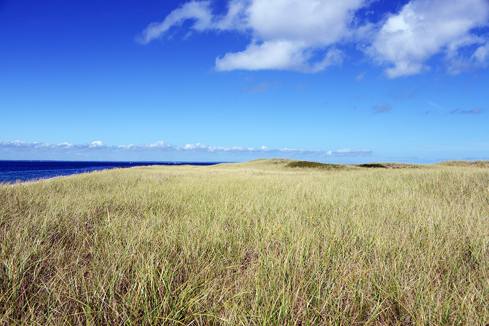 Grassland Rhode Island Block Island North Grass
