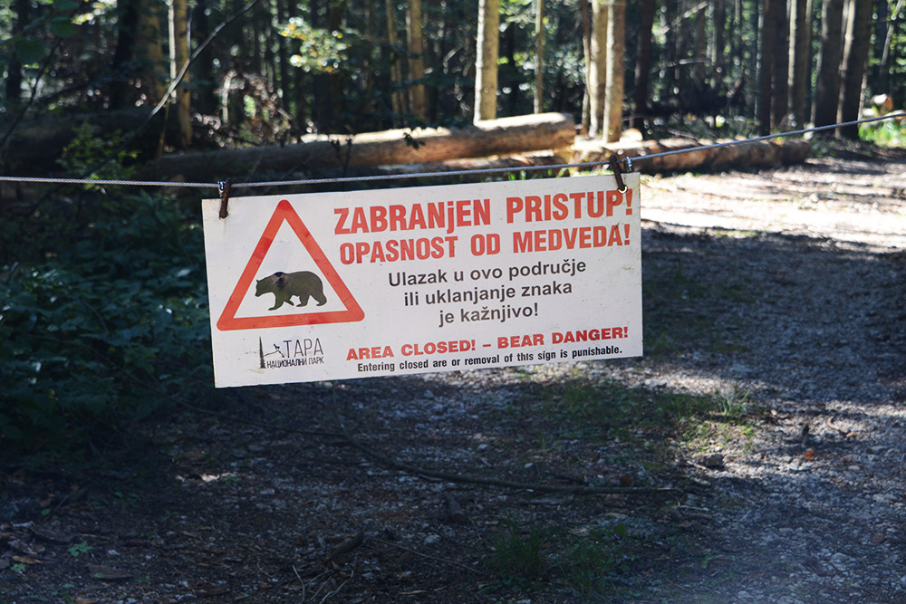 Brown Bear Warning Serbia Brown Bear Warning