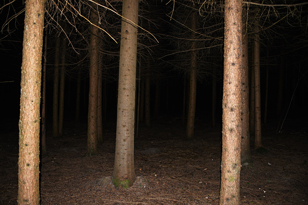 Dark Forest Serbia Dark Forest