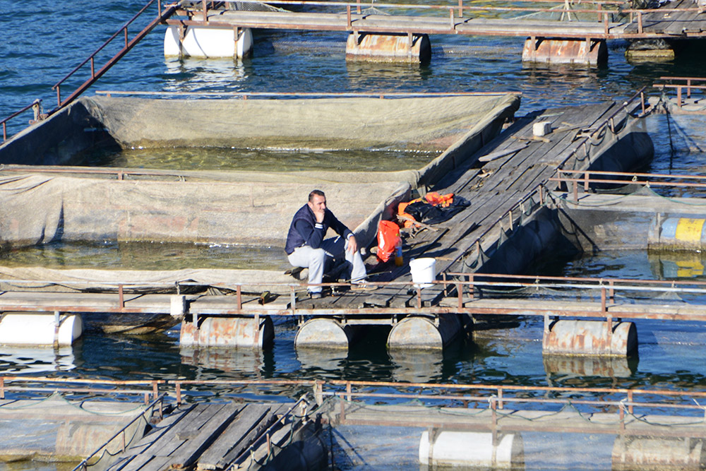 What's the meaning of life? Serbia Tara Docks Guy