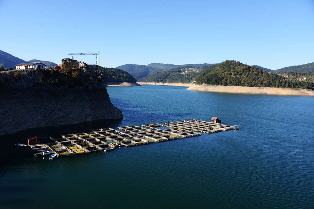Tara Docks Serbia Tara National Park Docks