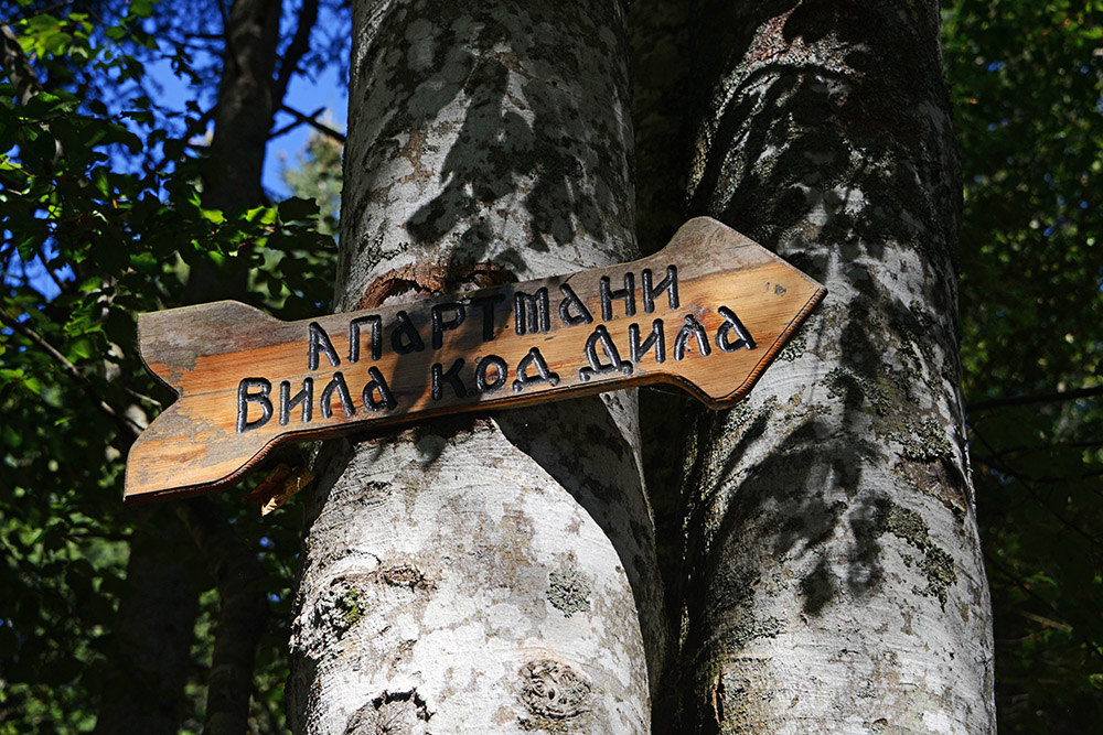 Tara Sign Serbia Tara National Park Sign