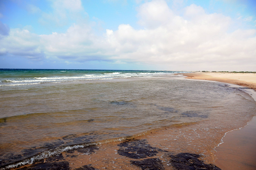 Sandy beach along the Gulf of Aden near Berbera, Somaliland