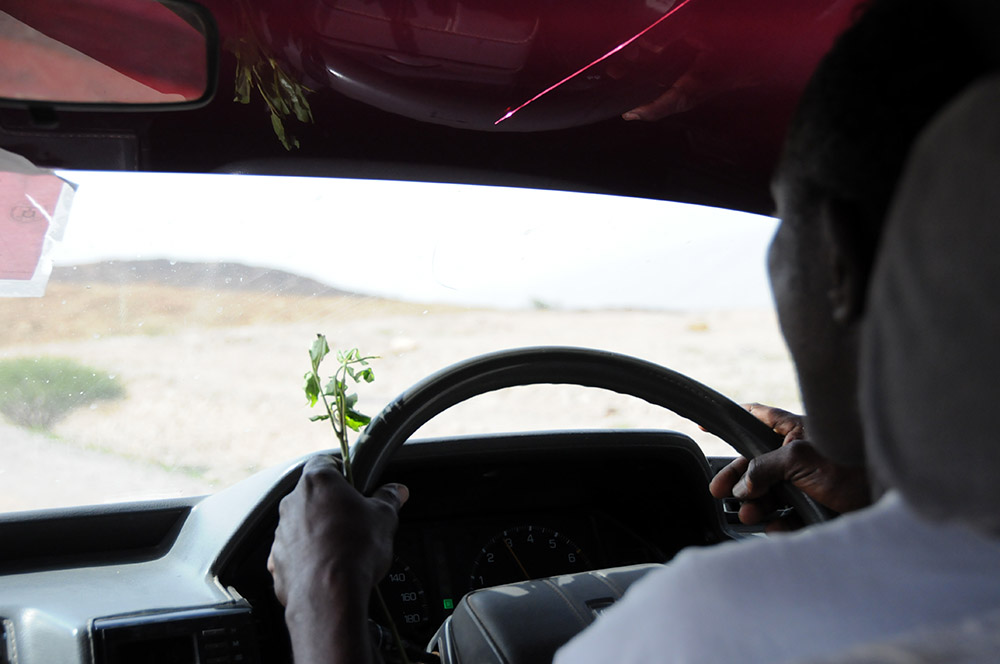 Driver holding khat while traveling through Somaliland