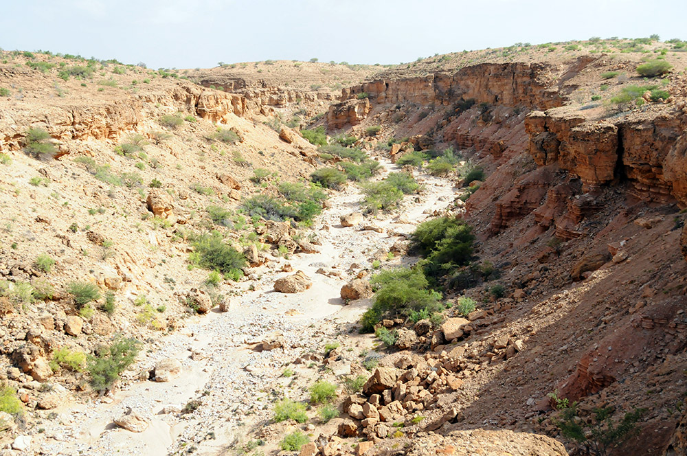 Rocky canyon in the Somaliland mountains