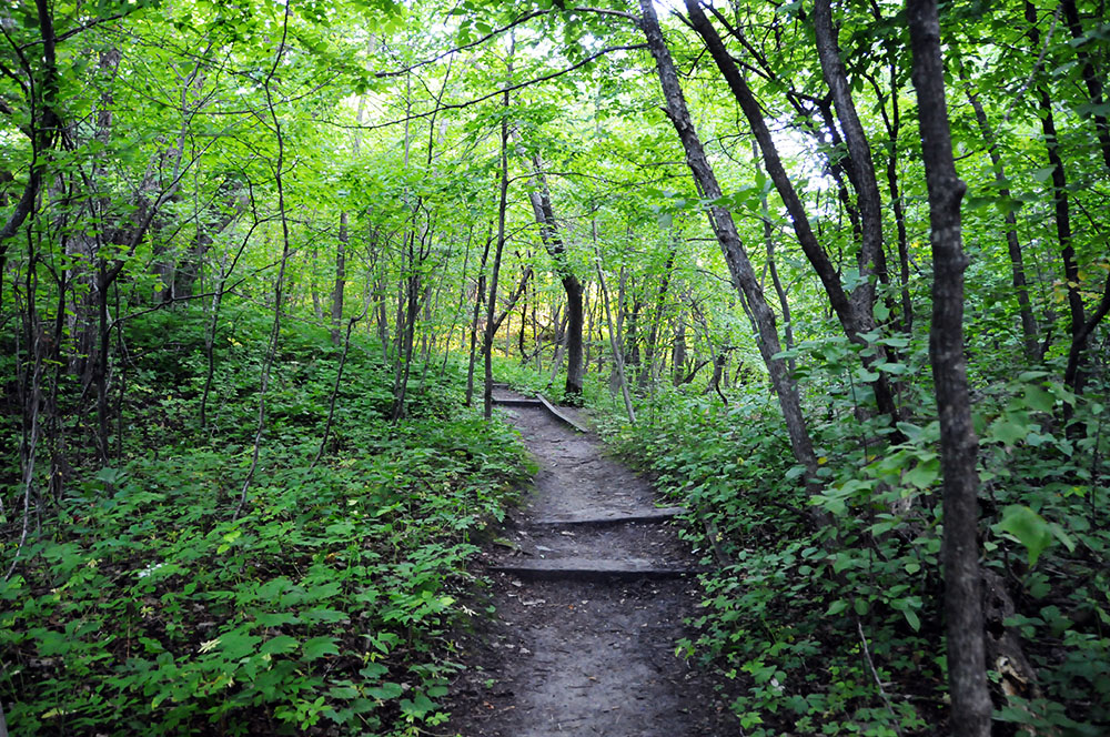 Hiking trail through Sica Hollow State Park in South Dakota