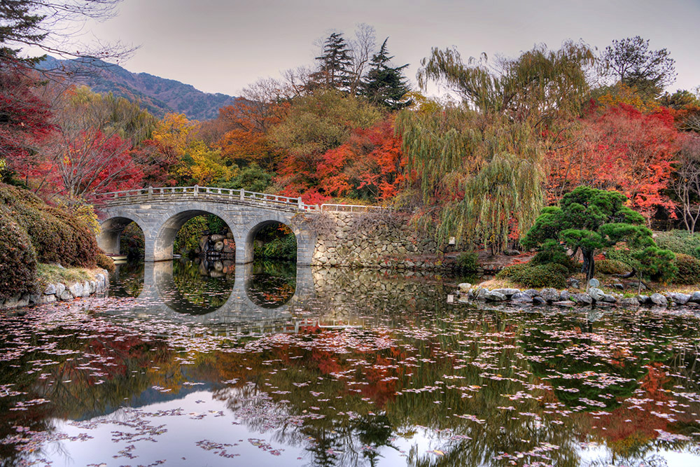 Pond and bridge at Bulguksa Temple