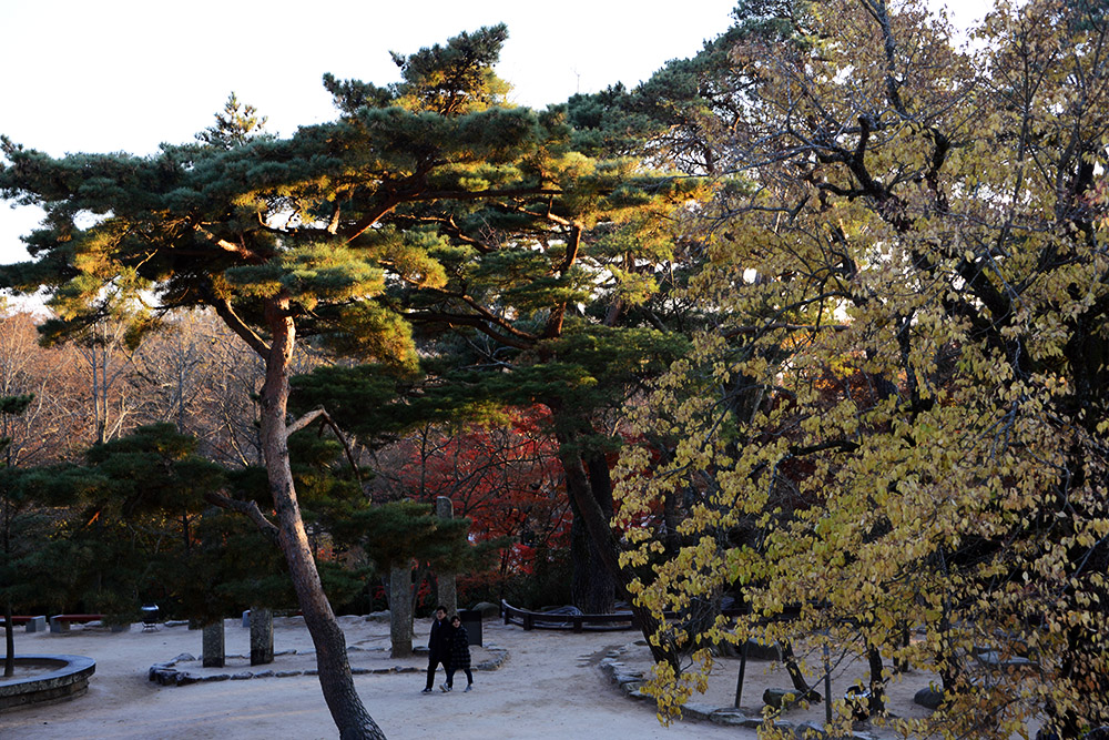 Garden at Bulguksa Temple