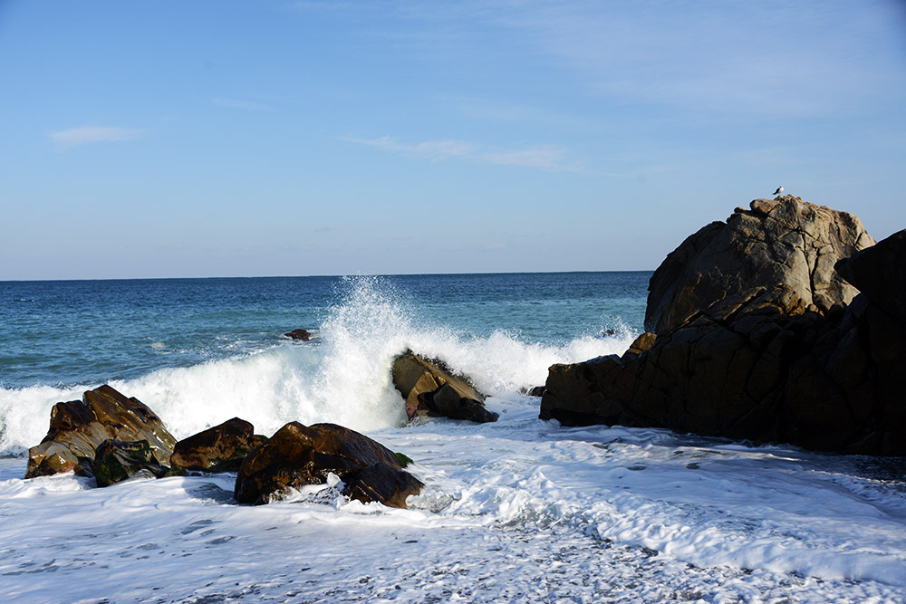 Rocky coastline near Gyeongju, South Korea