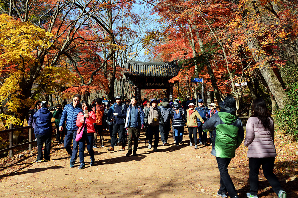 Autumn Crowds in Naejangsan Crowds visiting Naejangsan during autumn