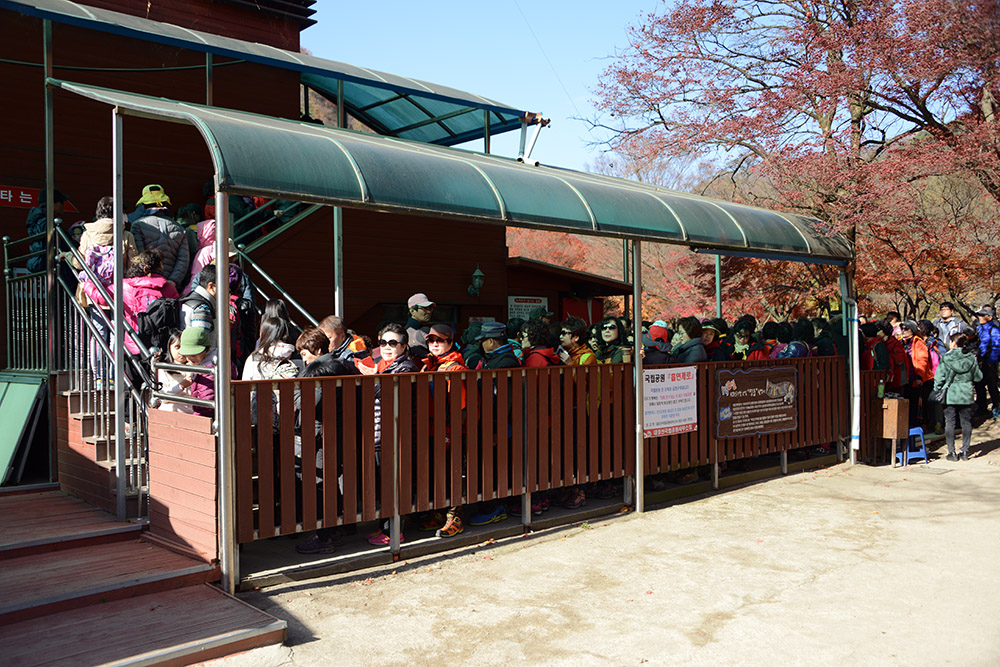 Cable Car Line Line for the cable car in Naejangsan National Park