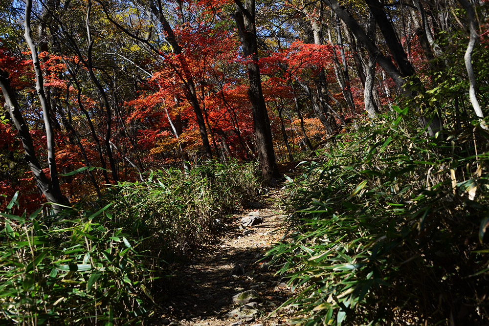 Naejangsan Hiking Trail Steep hiking trail in Naejangsan National Park