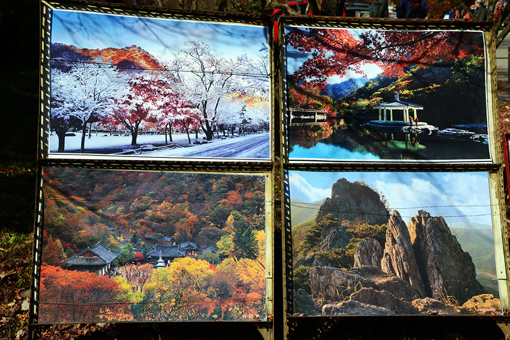 Photos for Sale Photographs and artwork for sale in Naejangsan