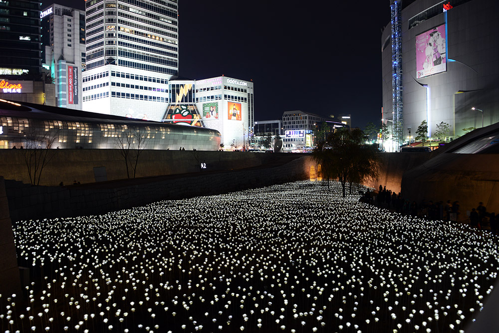 LED Rose Garden LED rose garden at Dongdaemun Design Plaza in Seoul