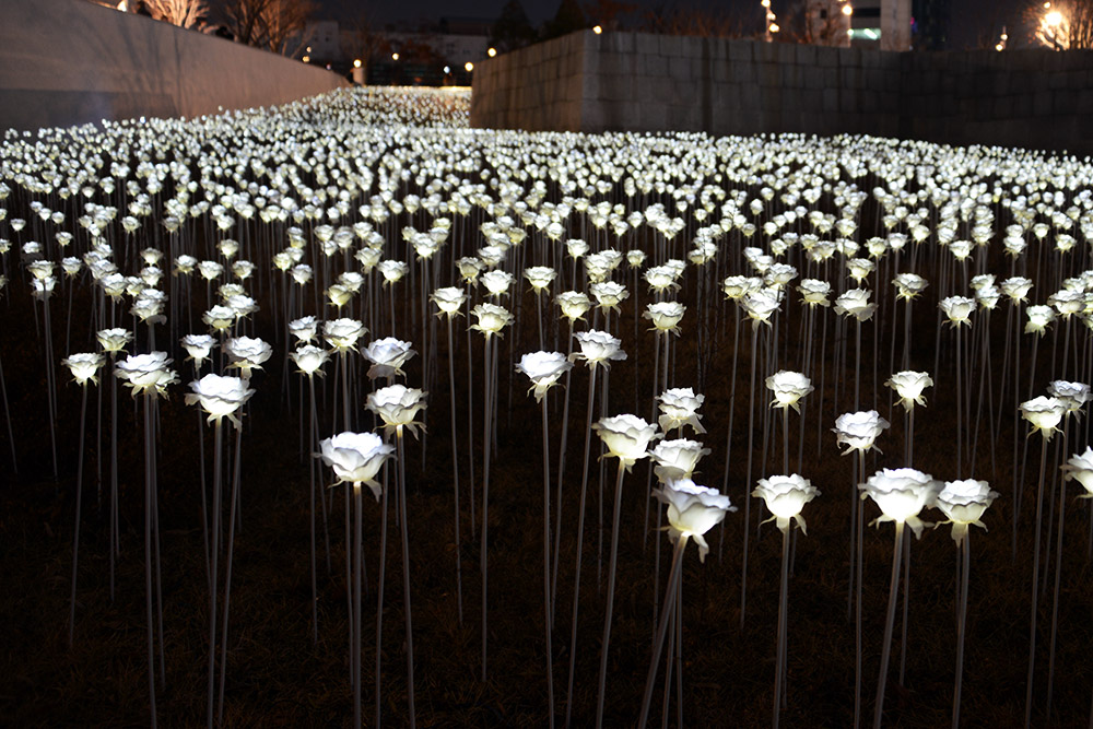 LED Flowers LED roses at Dongdaemun Design Plaza